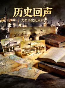历史纪录片《历史回声》深沉画面海报
